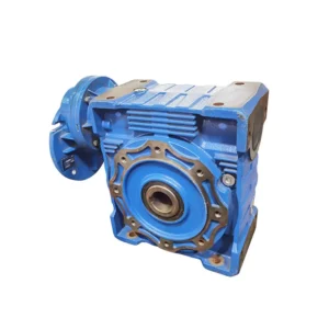 Single Phase AC Electric Gear Motor Low Speed with Worm Gearbox